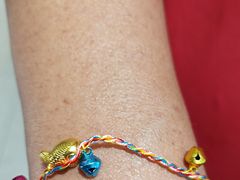 -紫光园·烤鸭(吕家营店)