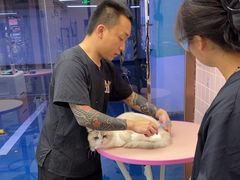 -FAELING PETS美天灵宠物(富力广场店)