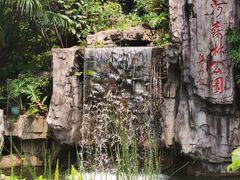 -广州市流溪河国家森林公园