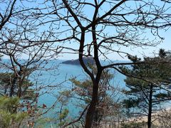 -棒棰岛宾馆景区