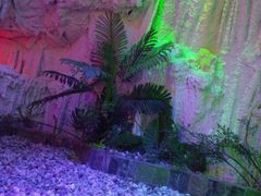 -水晶之星洗浴温泉汗蒸