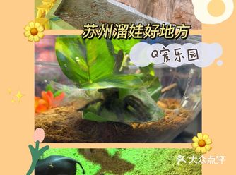单车岁月推荐打卡地：Q宠乐园  春暖花开，奔你而来