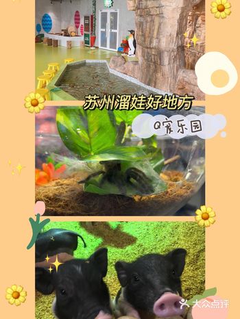 单车岁月推荐打卡地：Q宠乐园  春暖花开，奔你而来