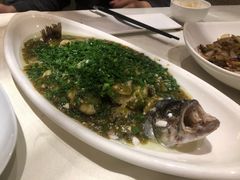 烧椒鲈鱼-尘香•传统川菜(创汇首座店)