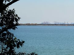 -江滩湿地公园