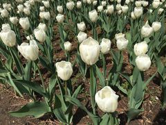 -长春公园(普阳街道)