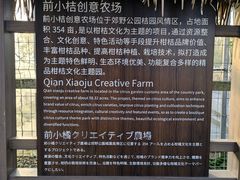 -前小桔亲子创意农场·草莓采摘·露营烧烤