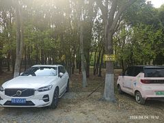 -梁鸿国家湿地公园