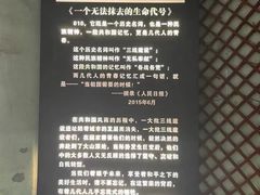 -816工程景区