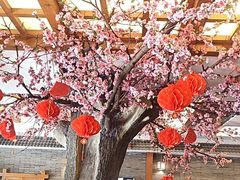-鸥迪足道(安庆店)