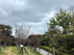 -金鸡山公园