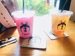 -TrueLove @ Neverland (Husky Cafe)