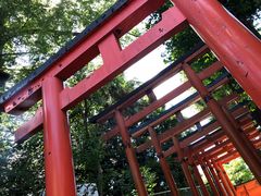 -上野公园花园稻荷神社(忍岡稲荷神社)