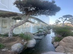 -罗红摄影艺术馆