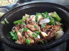 -石岐乳鸽村(南海第三分店)