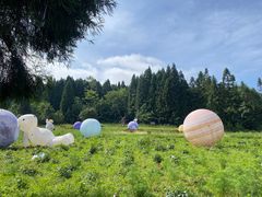 -武陵山森林公园