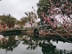 -无锡蠡湖国家湿地公园-蠡园