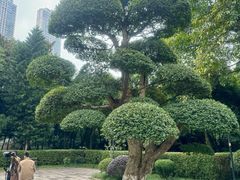 -龙头寺公园