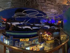 -烟台海昌鲸鲨海洋公园