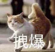 -上海华美国际酒店(新天地人民广场店)