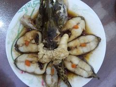 -爱的果实月嫂育婴师(世纪东方店)