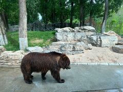 -北京野生动物园