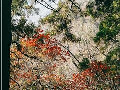 -北京上方山国家森林公园