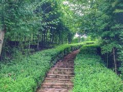 iphone_upload_pic-天目湖涵田度假村