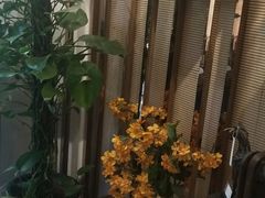 -Dragonfly悠庭·按摩Spa(新乐路店)