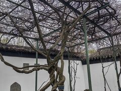 -苏州园林博物馆