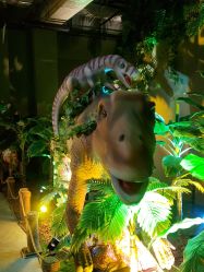 -恐龙探索乐园(磁器口店)