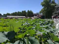 -小王府(什刹海店)