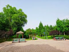 -东升八家郊野公园