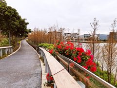 -琅岐红光湖公园