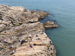 -摩天岭风景区