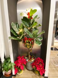 大厅-Garden花園造型