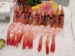 -大东海海鲜酒楼(渔人码头总店)