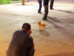 -正兴广场(人民中路店)