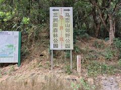 -马峦山郊野公园