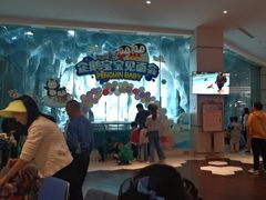 -帝企鹅自助餐厅•儿童岛•真企鹅(长隆企鹅酒店)