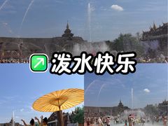 -西双版纳傣族园