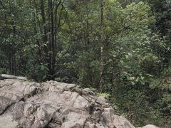 -九龙江国家森林公园