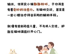 -帕帕拉兹宠物(亚洲旗舰店)