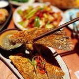 🈶️酒🈶️肉🈶️朋友