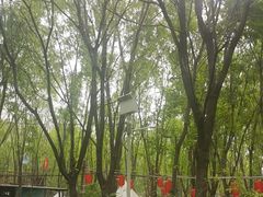 -草根堂农场