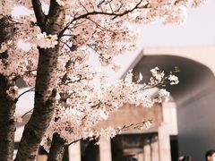 -龙美术馆(西岸馆)