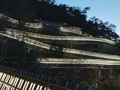 -福道