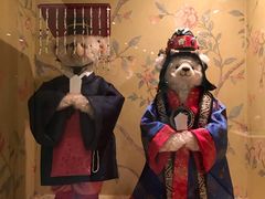 -济州岛泰迪熊博物馆