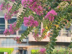 -杭州城北体育公园