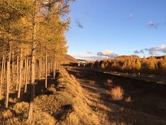 -塞罕坝国家级自然保护区